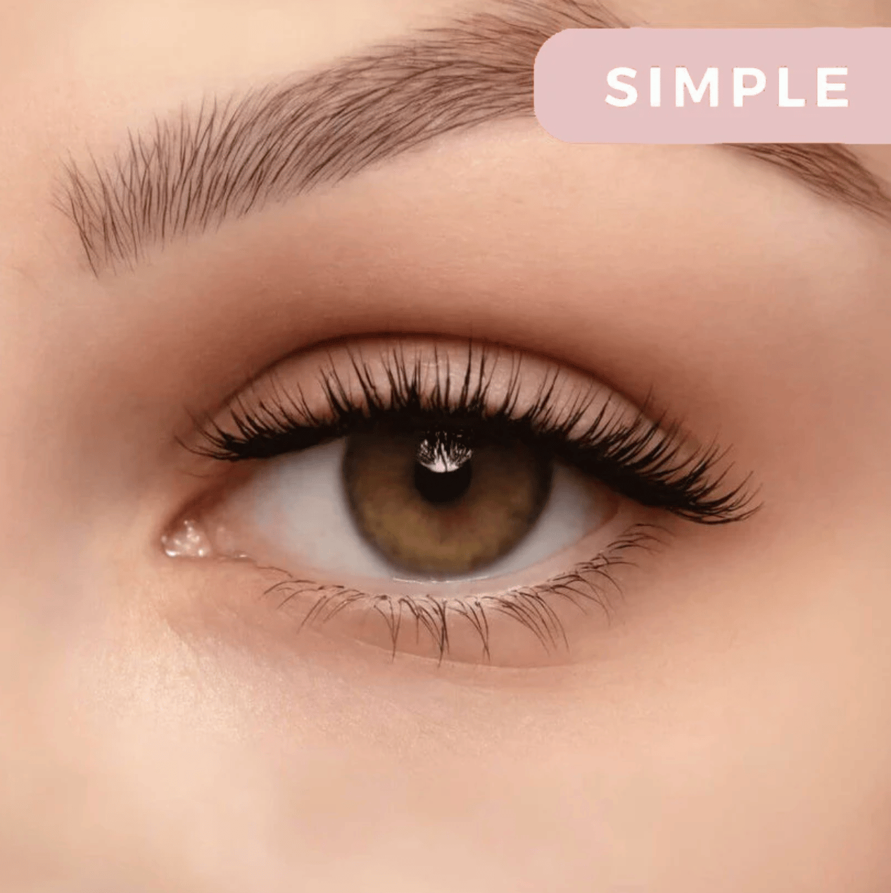 MagniLash™ (75% OFF TODAY ONLY)